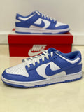 Nike Dunk Low Polar Blue